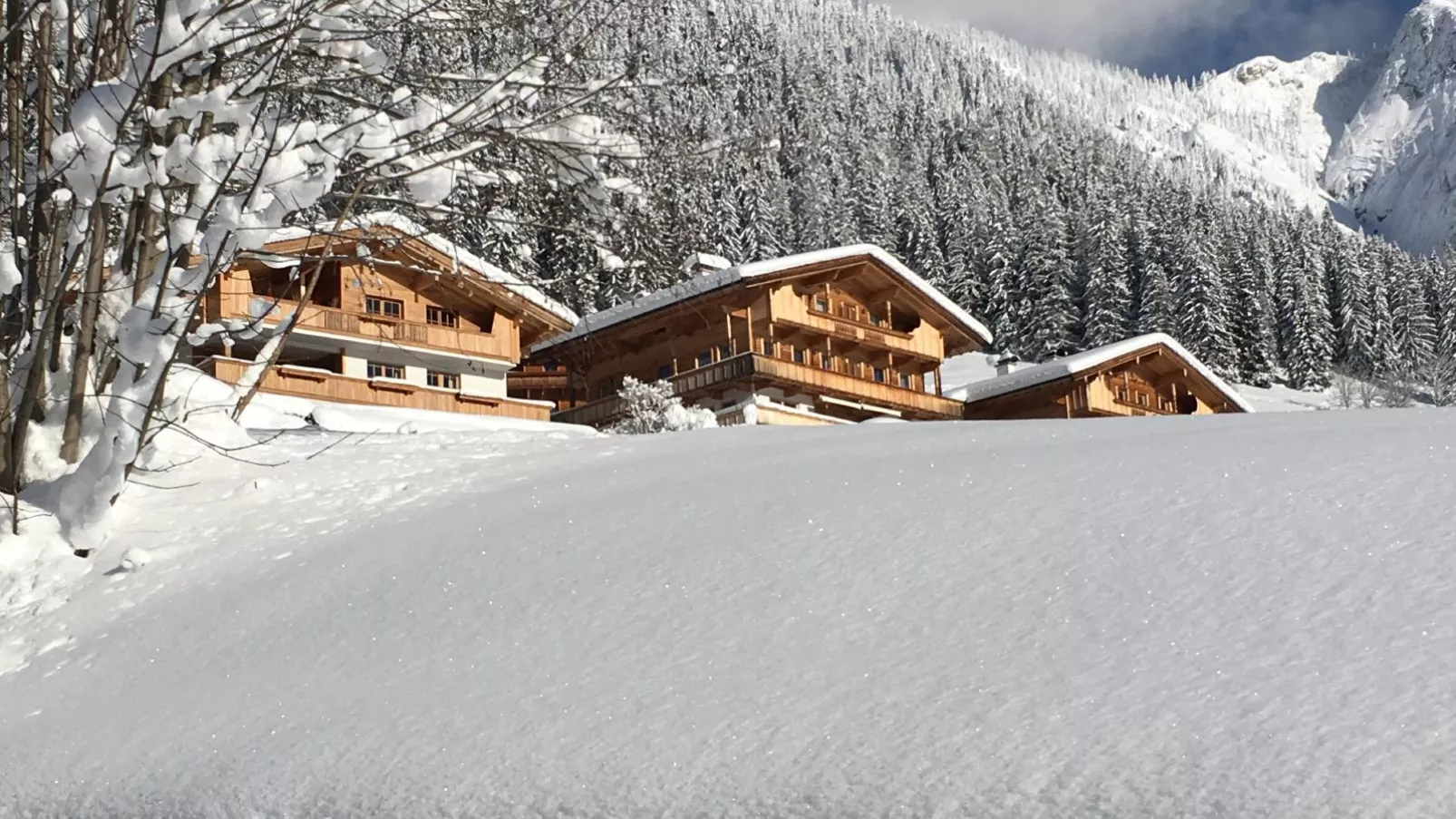 Haus Fernwald Top Jill und Rens-Exterieur winter