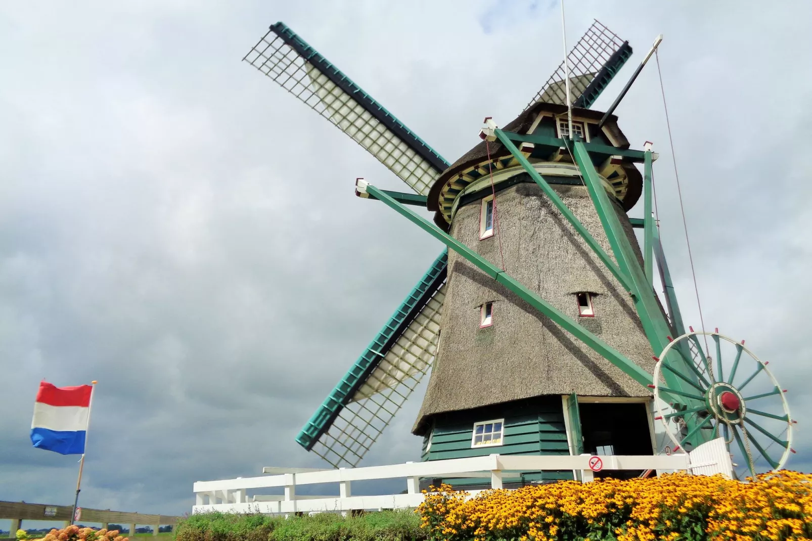 Onder de Molen 24 pers-Uitzicht zomer