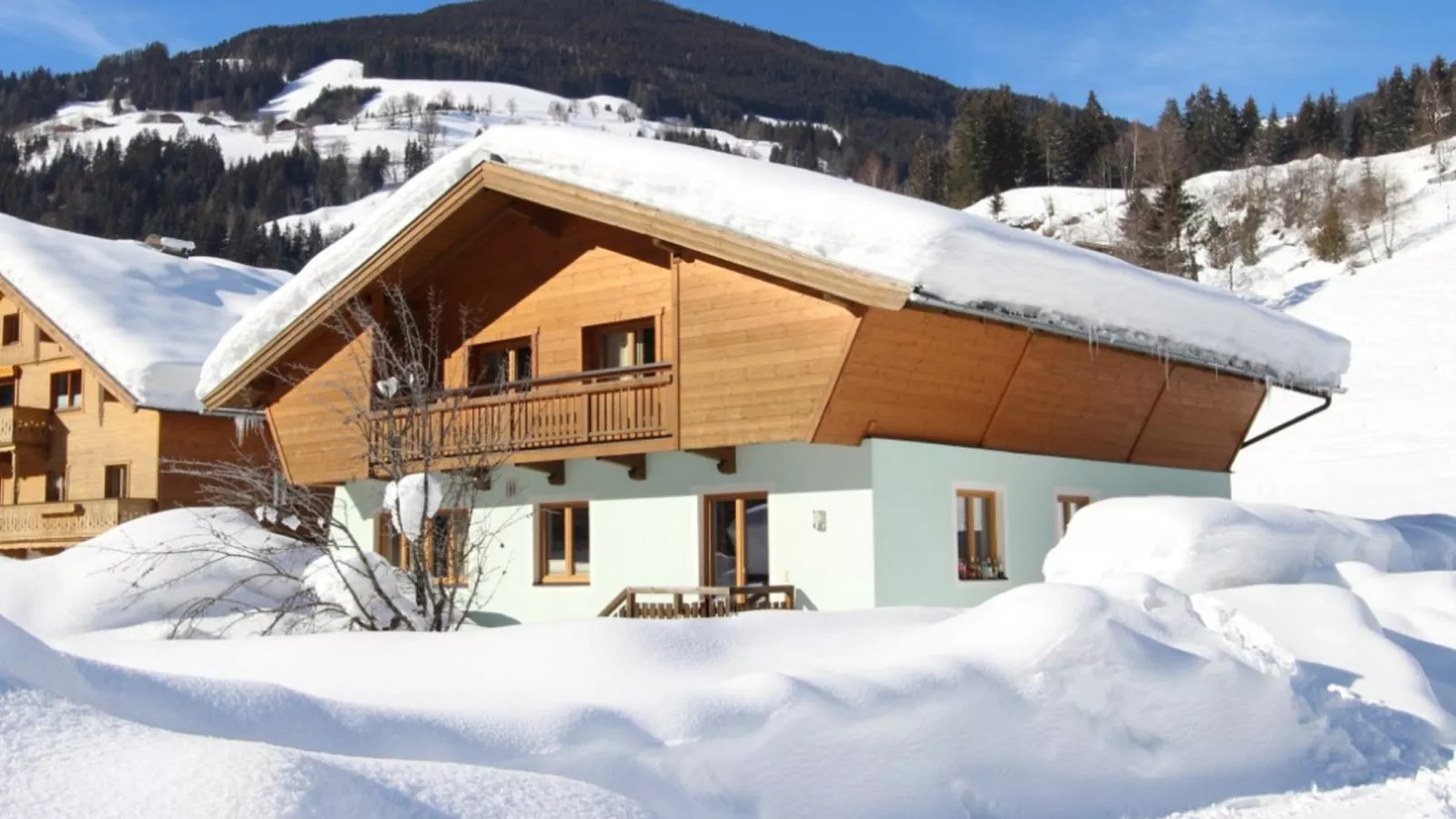 Chalet Peter-Exterieur winter