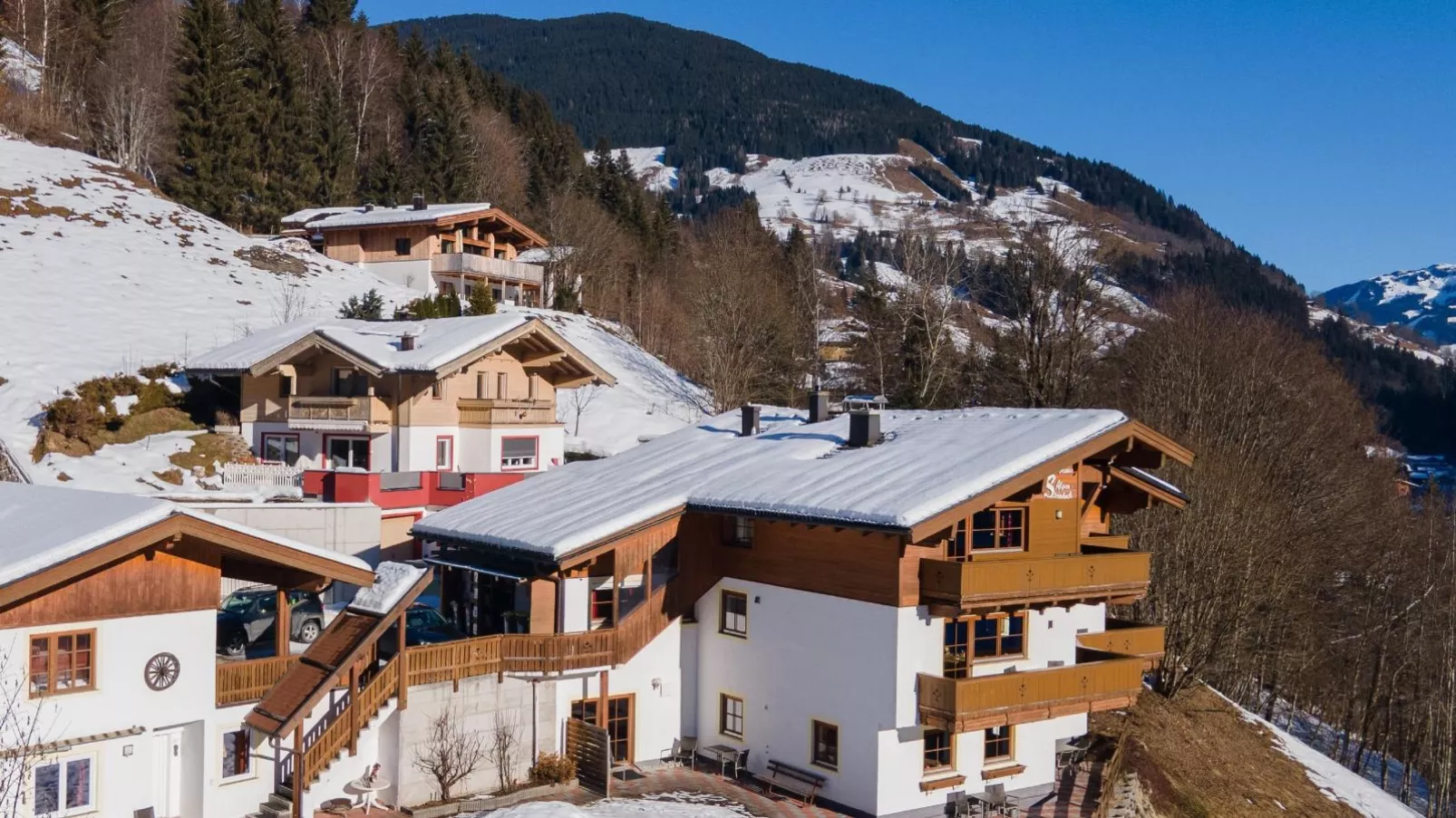 Alpensteinbock Saalbach L-Exterieur winter