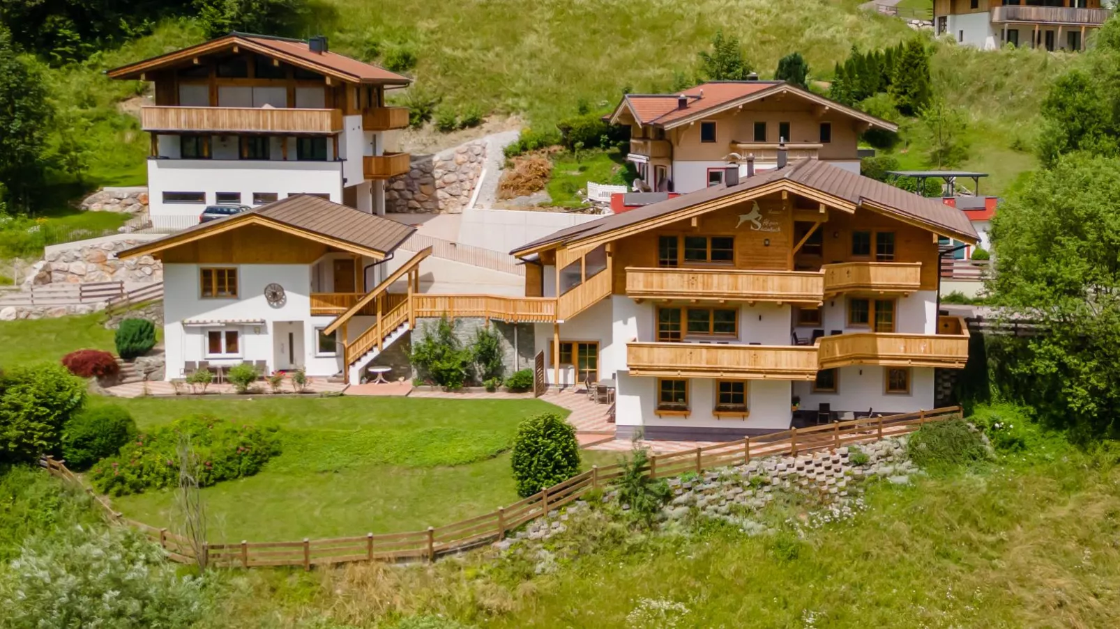 Alpensteinbock Saalbach L-Buitenkant zomer