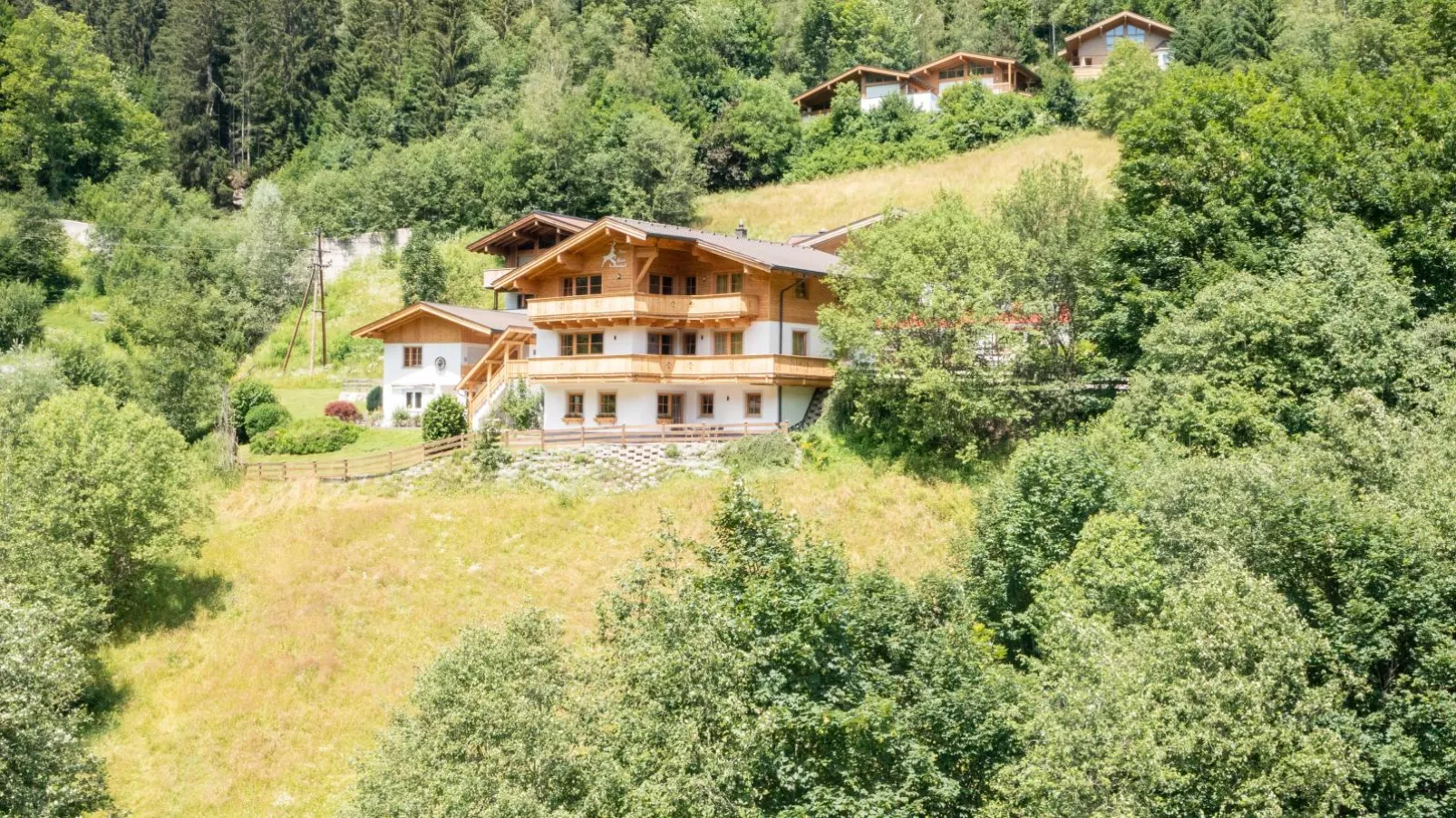 Alpensteinbock Saalbach L-Buitenkant zomer