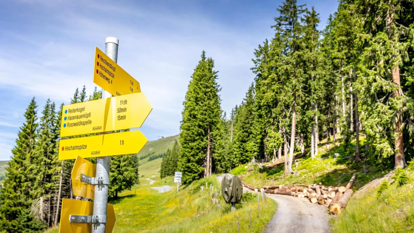 Alpensteinbock Saalbach L-Gebieden zomer 20km