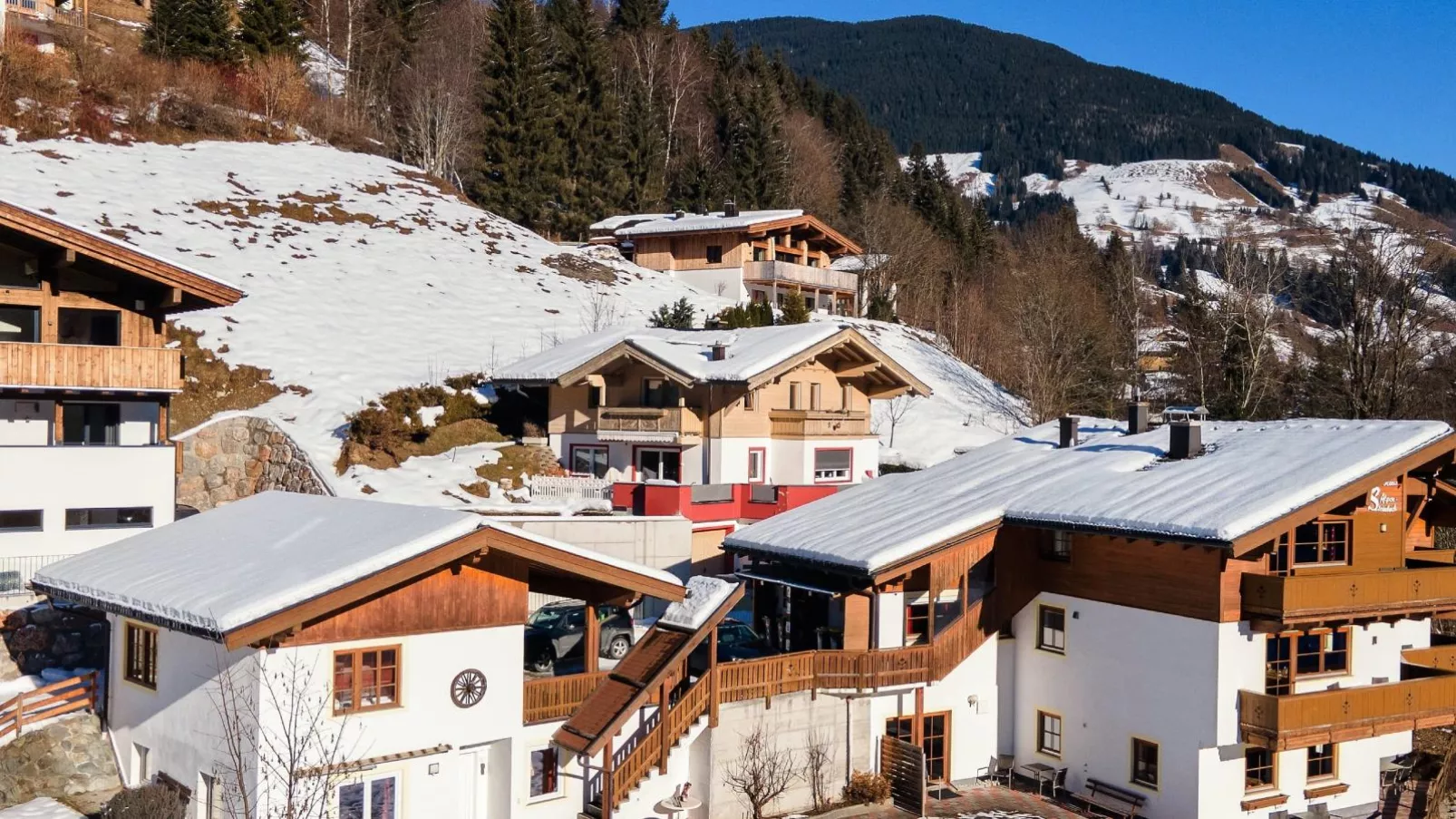 Alpensteinbock Saalbach D-Exterieur winter