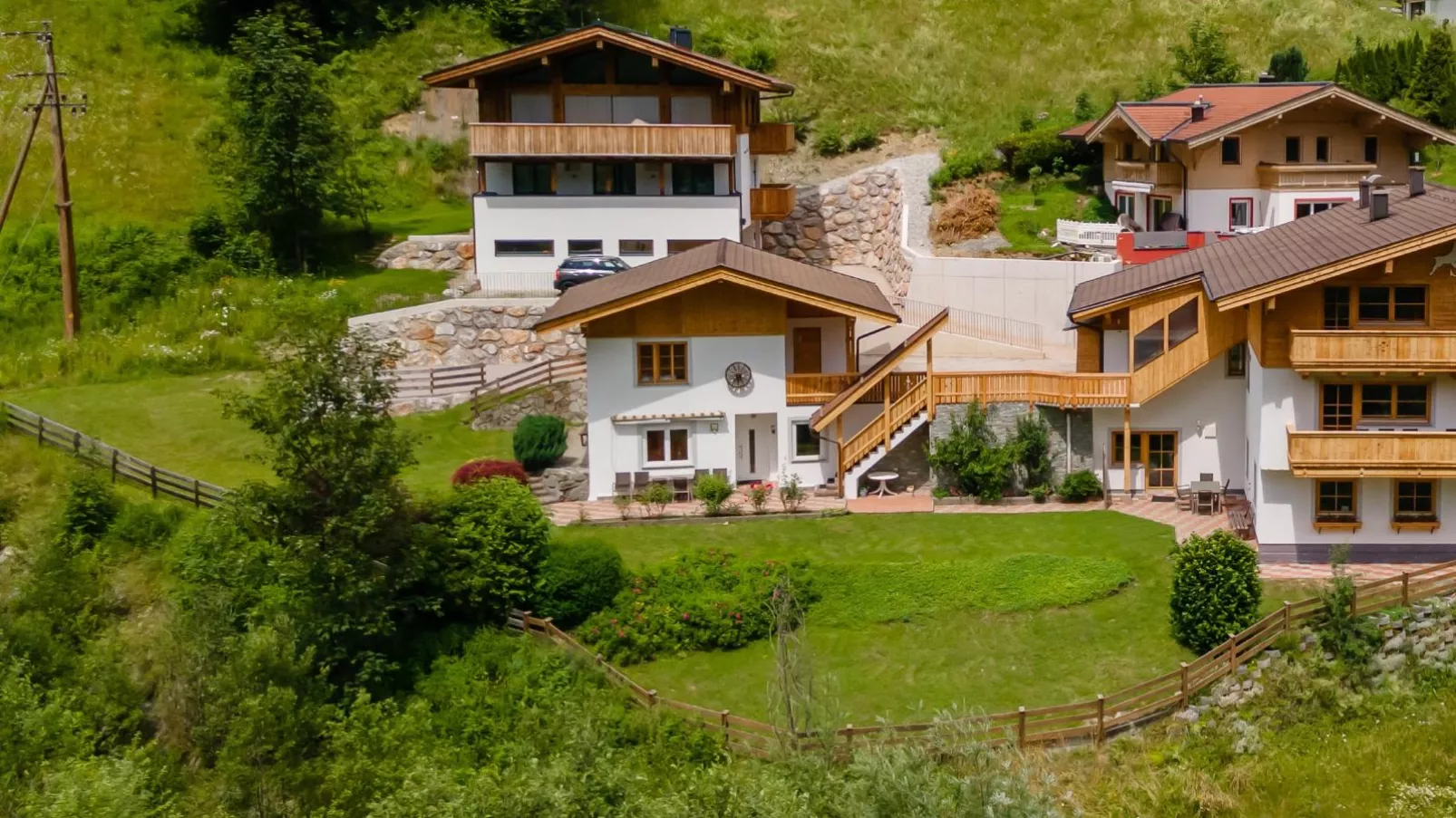 Alpensteinbock Saalbach D-Buitenkant zomer