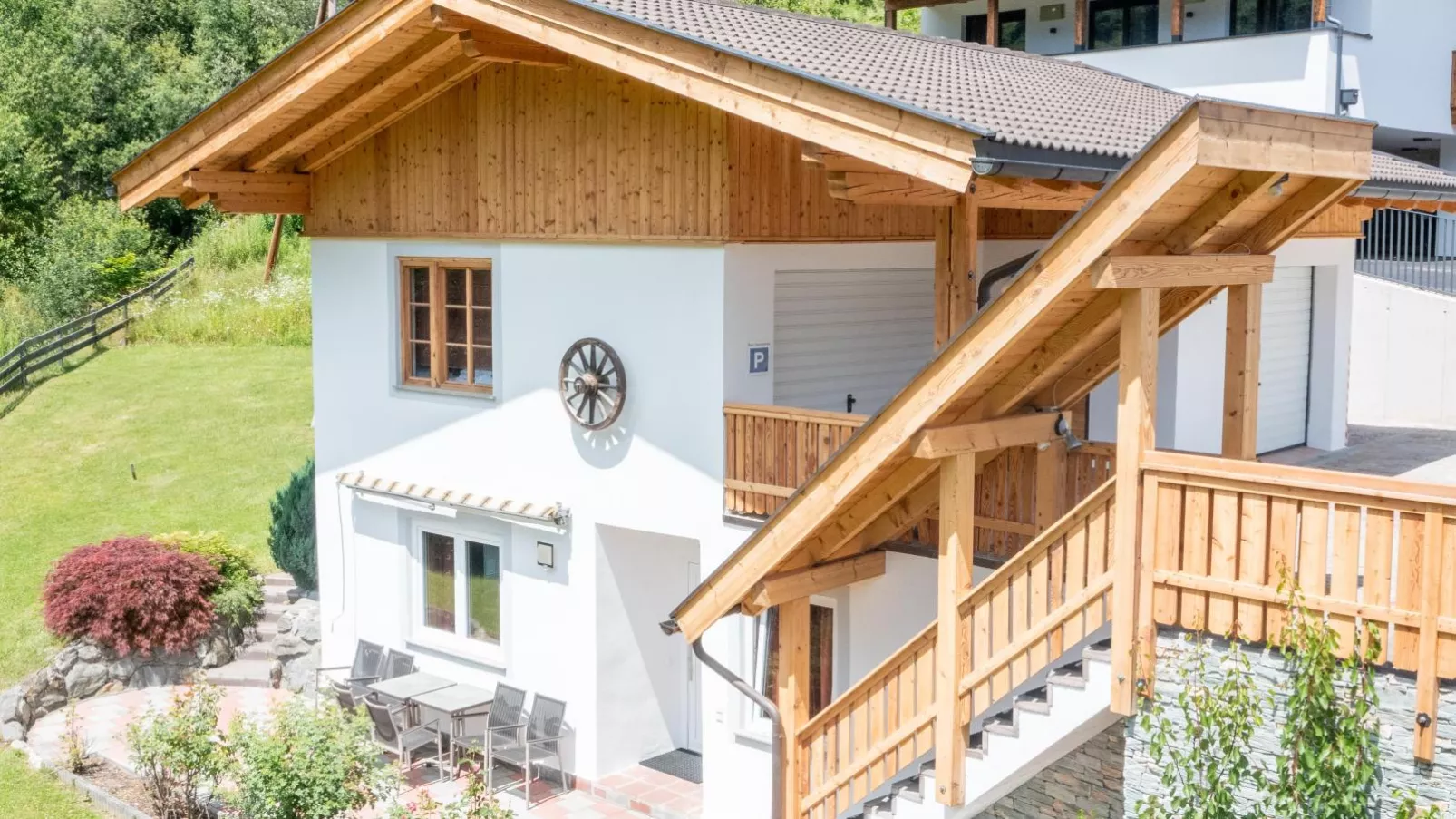 Alpensteinbock Saalbach D-Buitenkant zomer