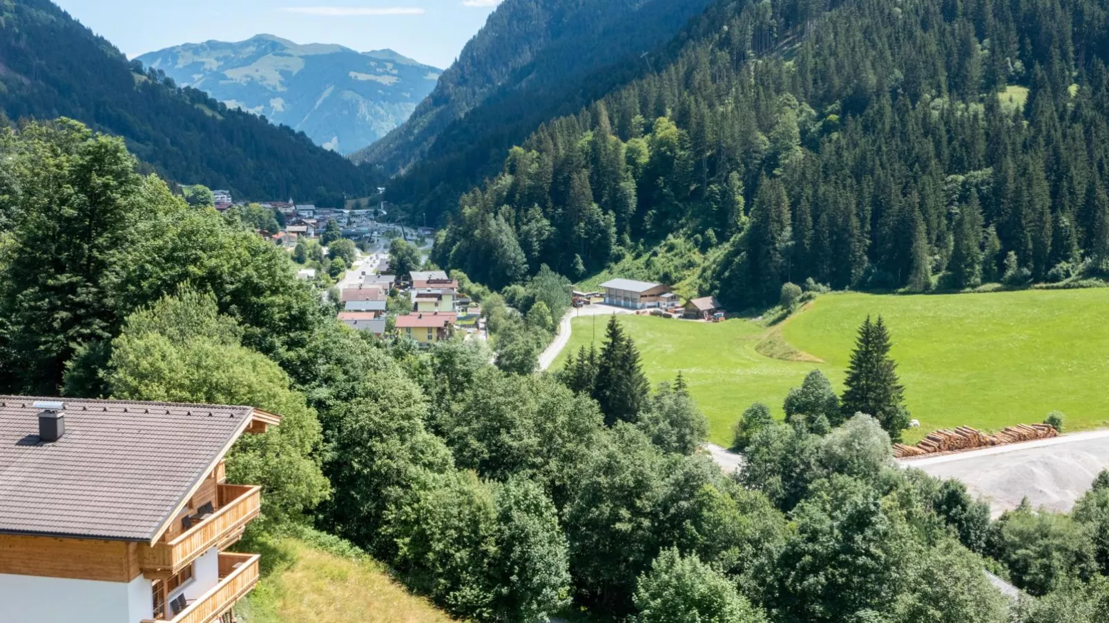 Alpensteinbock Saalbach D-Uitzicht zomer