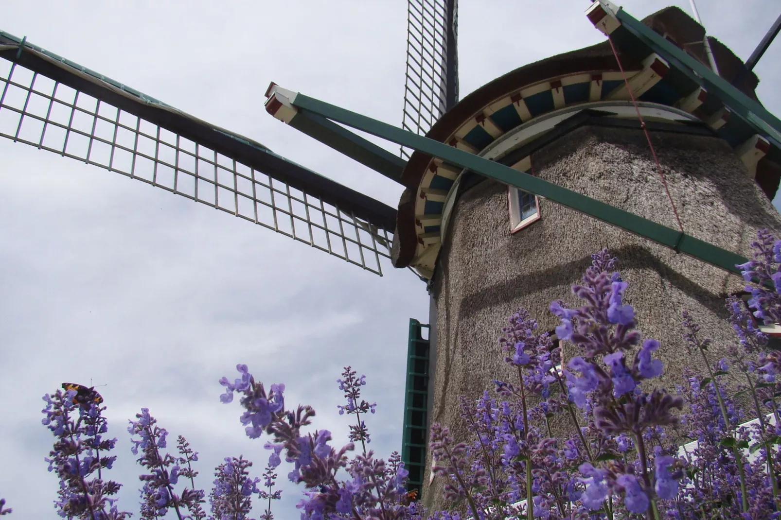 Onder de Molen 24 pers-Sfeer