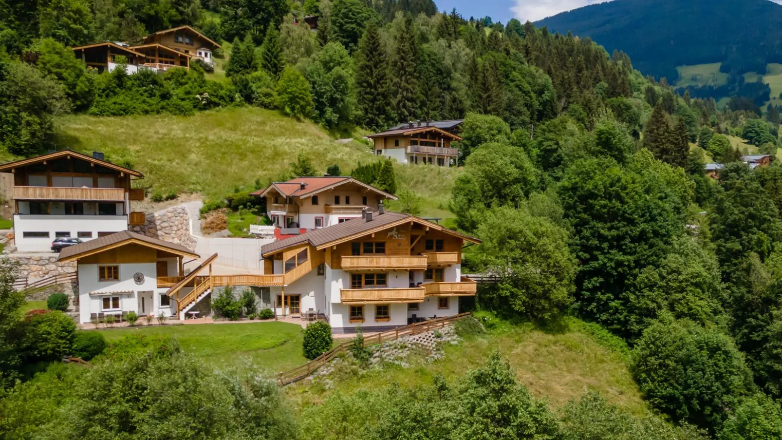 Alpensteinbock Saalbach C-Buitenkant zomer