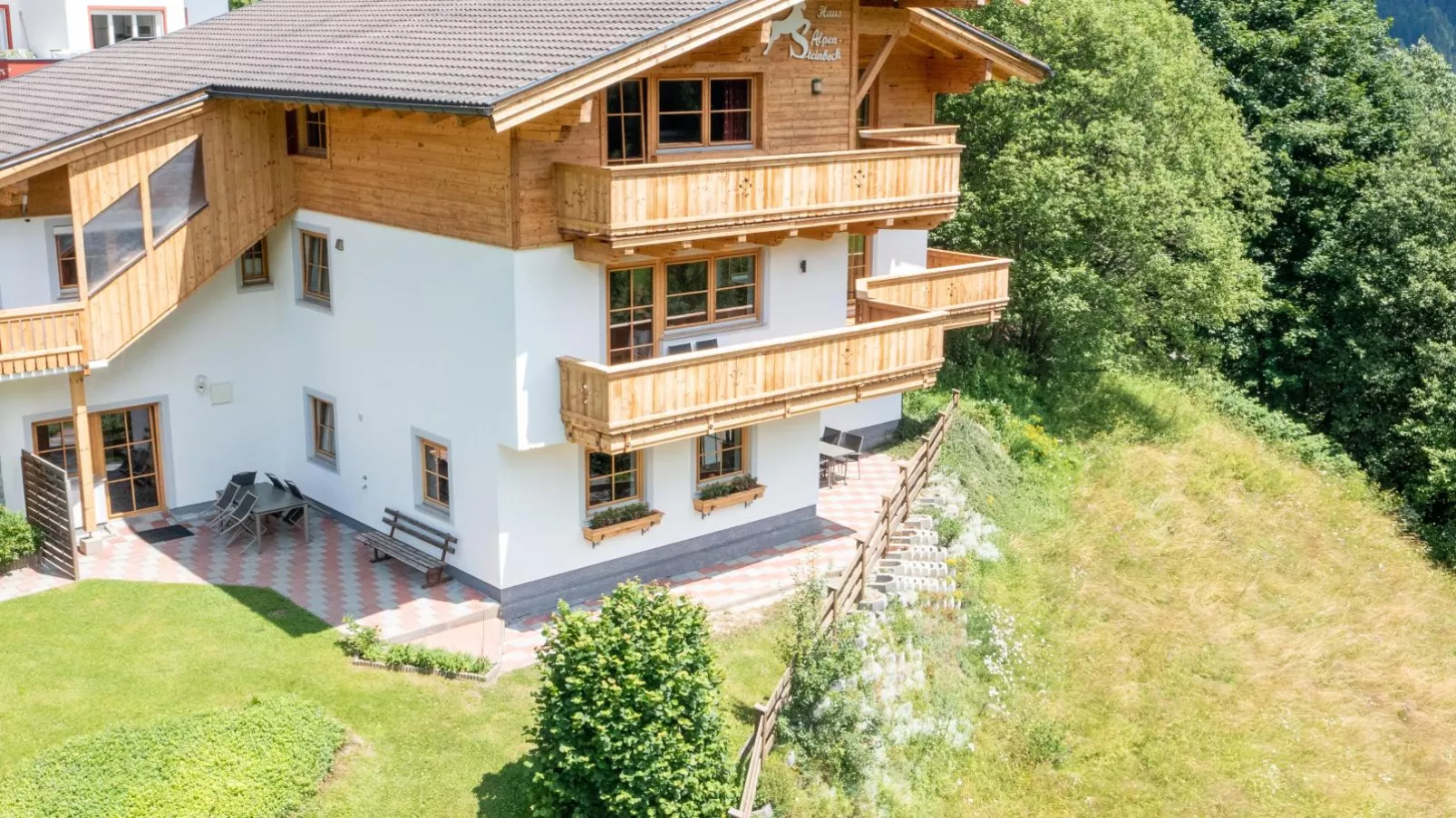 Alpensteinbock Saalbach C-Buitenkant zomer