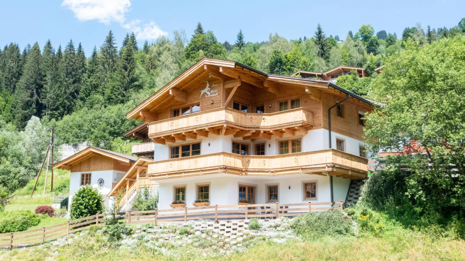 Alpensteinbock Saalbach C-Buitenkant zomer