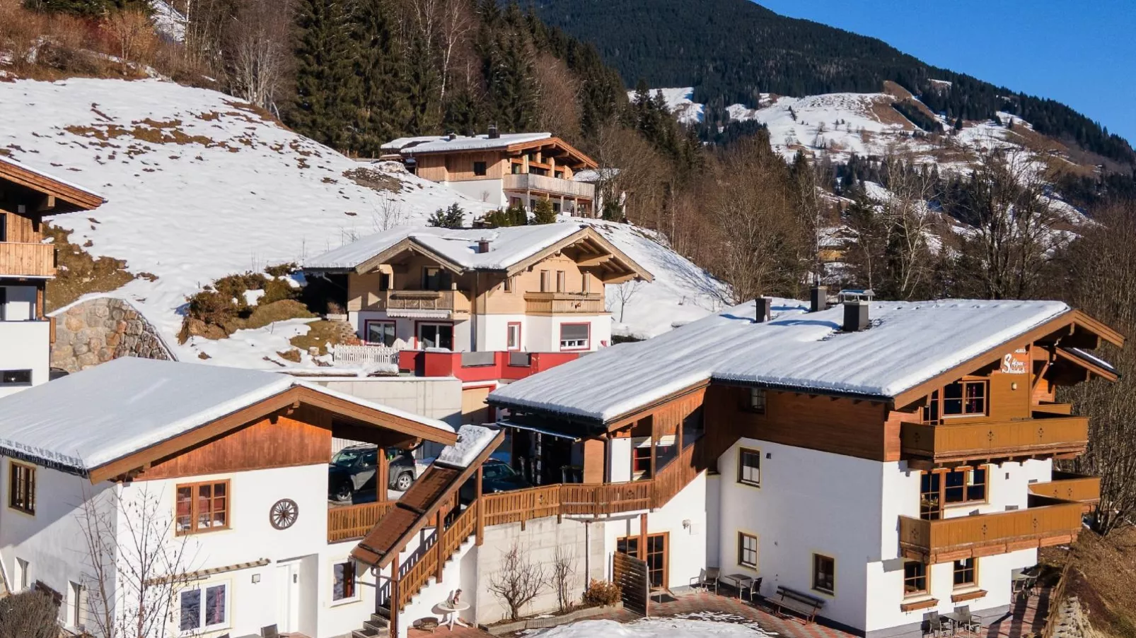 Alpensteinbock Saalbach B-Exterieur winter