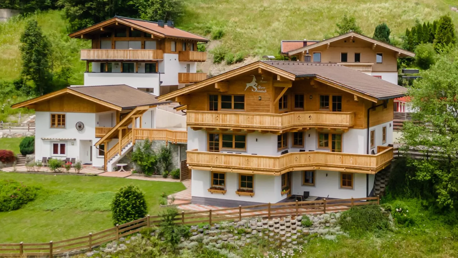 Alpensteinbock Saalbach B-Buitenkant zomer