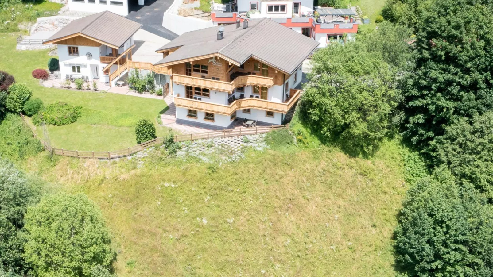 Alpensteinbock Saalbach B-Buitenkant zomer