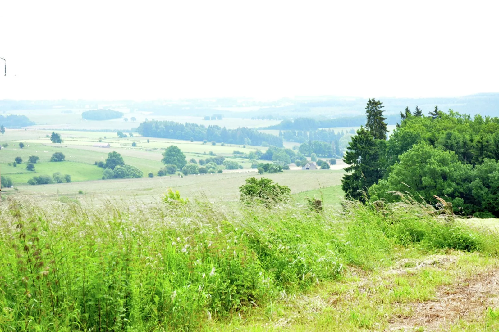 Sapin-Paul-Gebieden zomer 1km