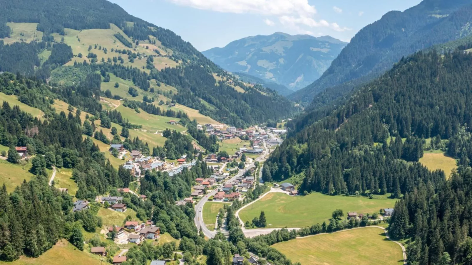 Alpensteinbock Saalbach-Gebieden zomer 20km