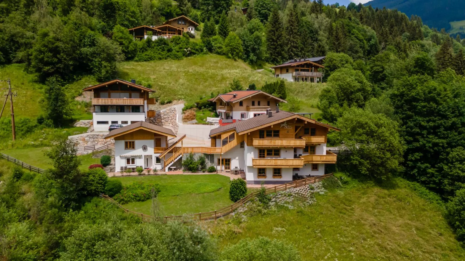 Alpensteinbock Saalbach-Buitenkant zomer