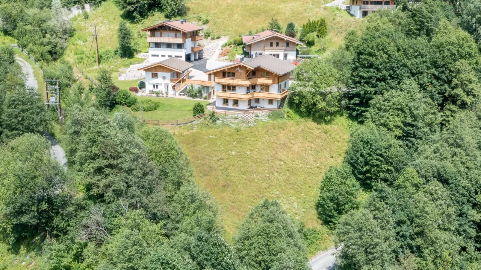 Alpensteinbock Saalbach-Buitenkant zomer