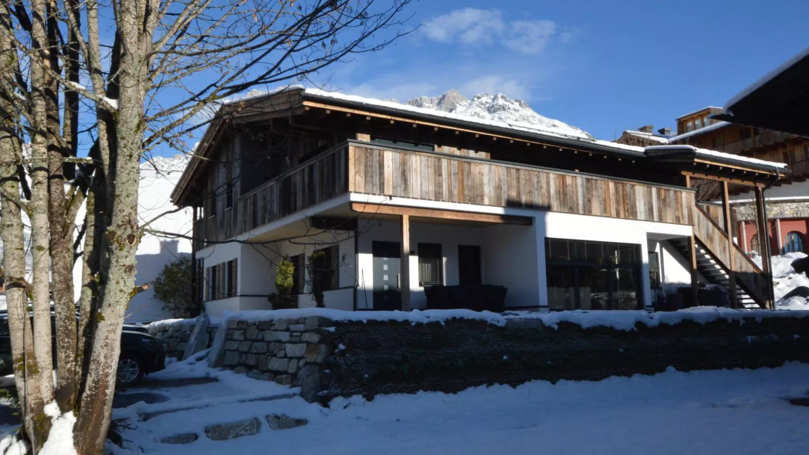 Schneeblümchen-Exterieur winter