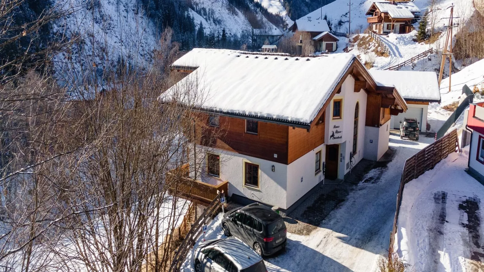 Alpensteinbock Saalbach-Exterieur winter