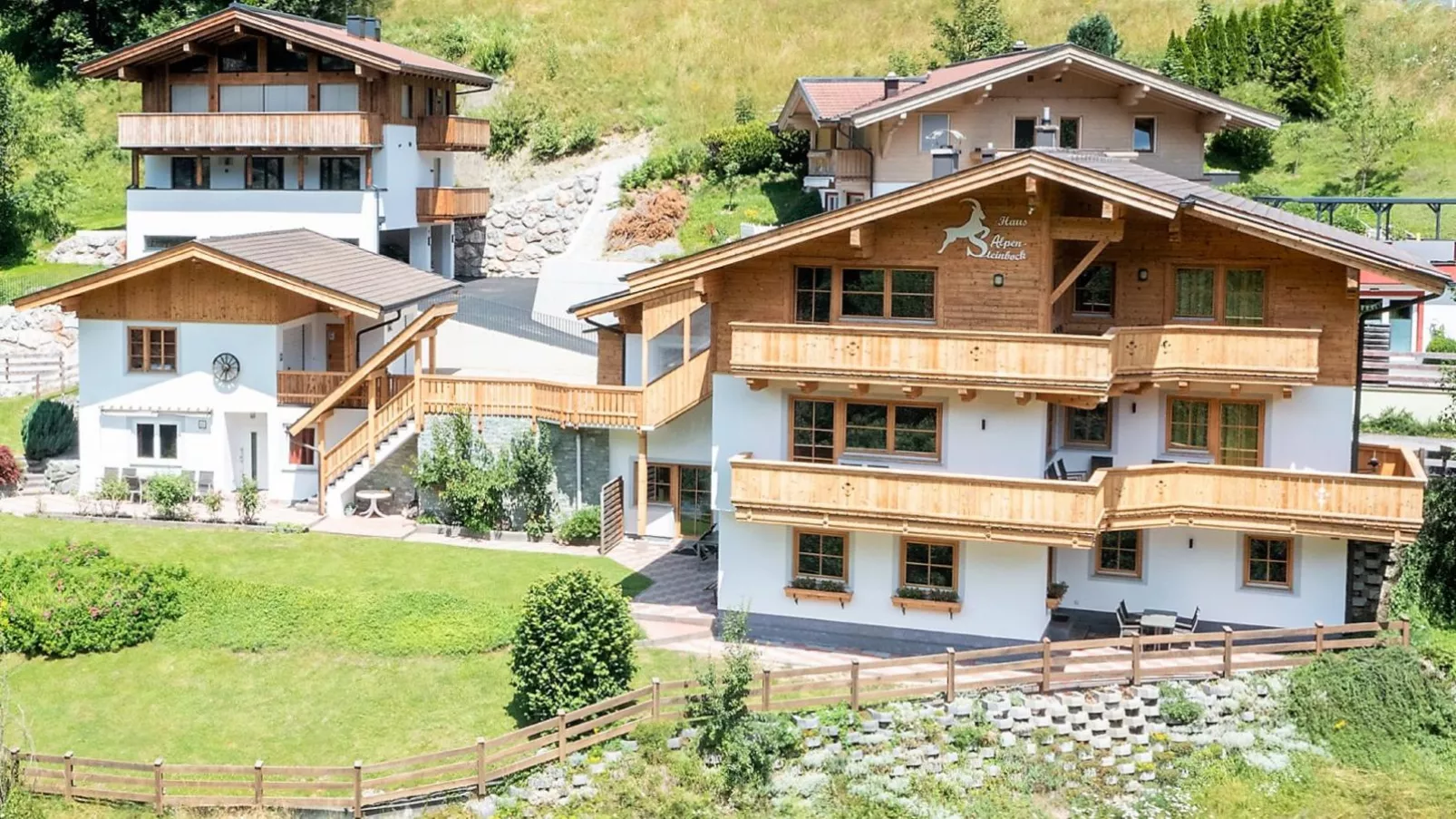 Alpensteinbock Saalbach-Buitenkant zomer