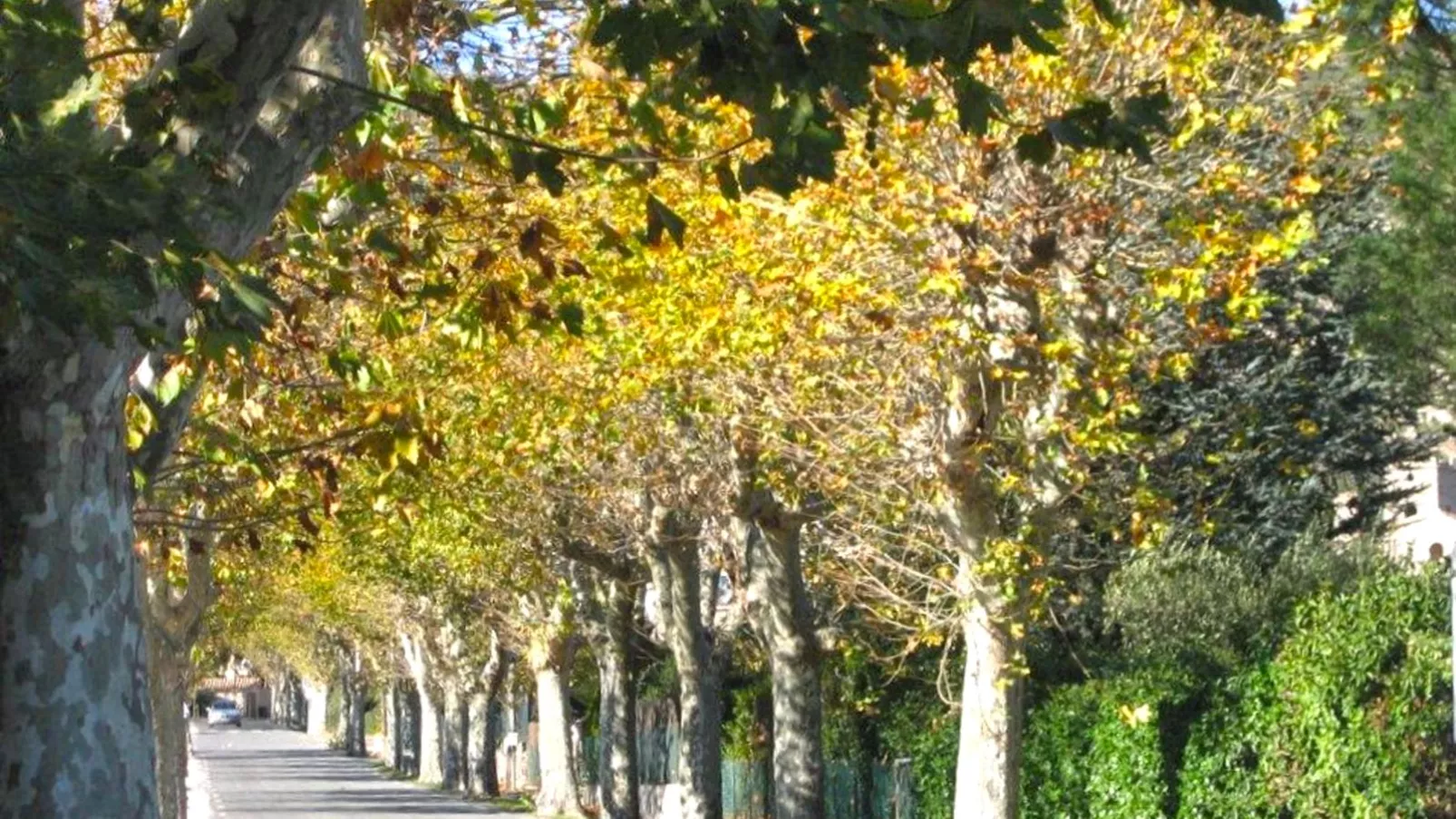 Sud-Gebieden zomer 1km