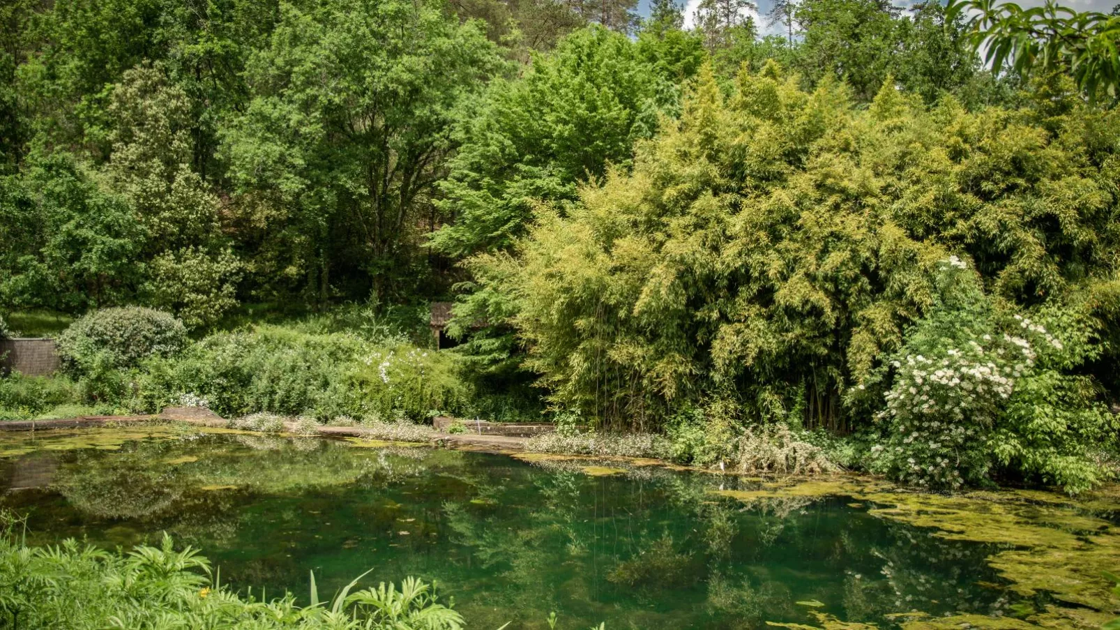 Gite Moulin de lAlbarède-Tuinen zomer