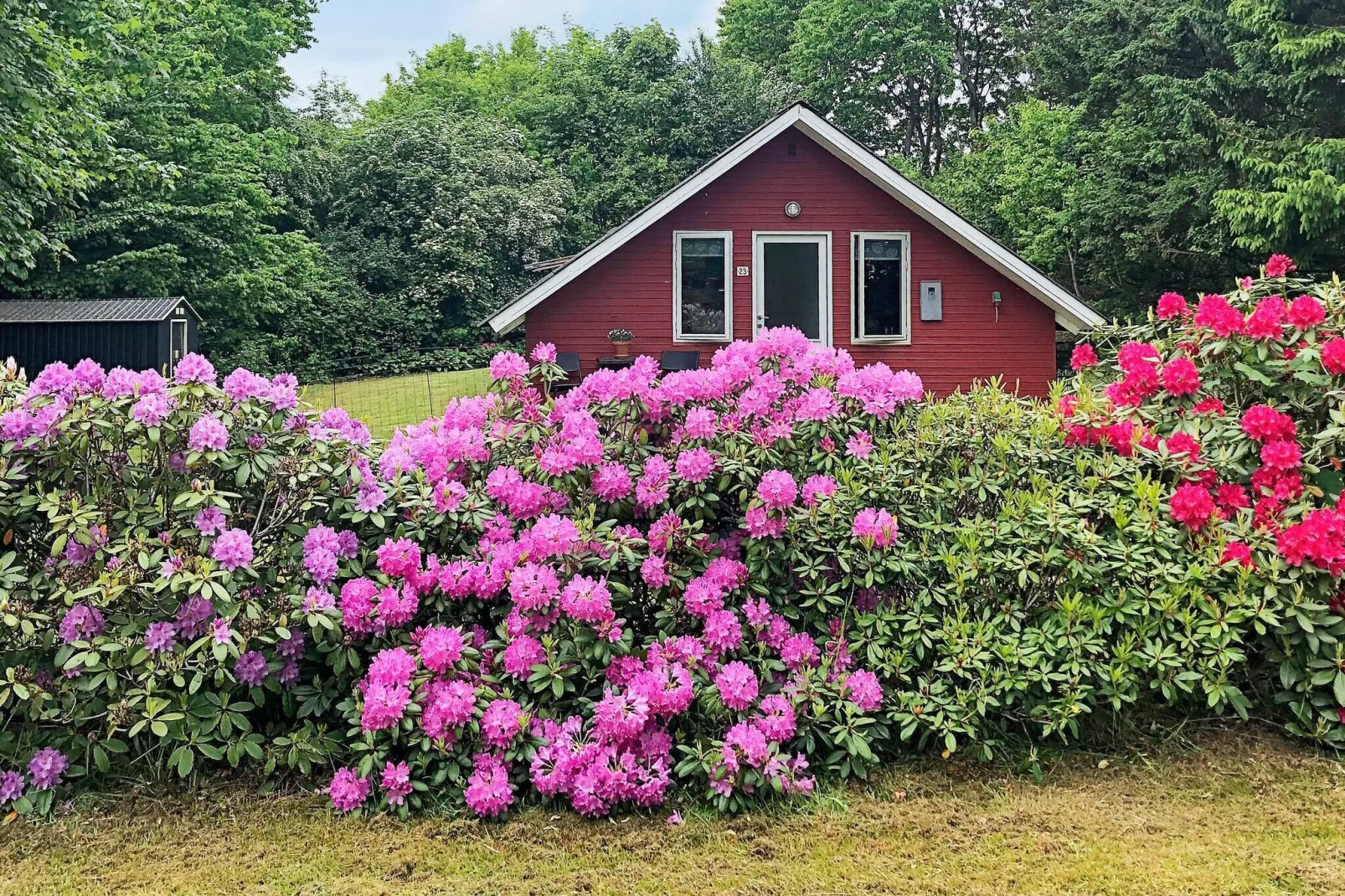 6 persoons vakantie huis in Toftlund