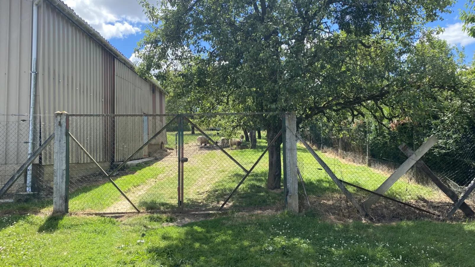 Maison Bolbec-Uitzicht zomer