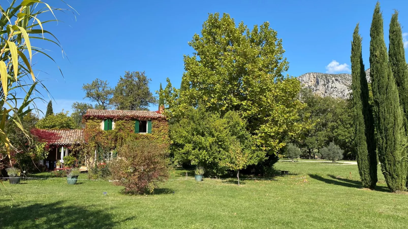 La petite maison de la ferme rose-Tuinen zomer