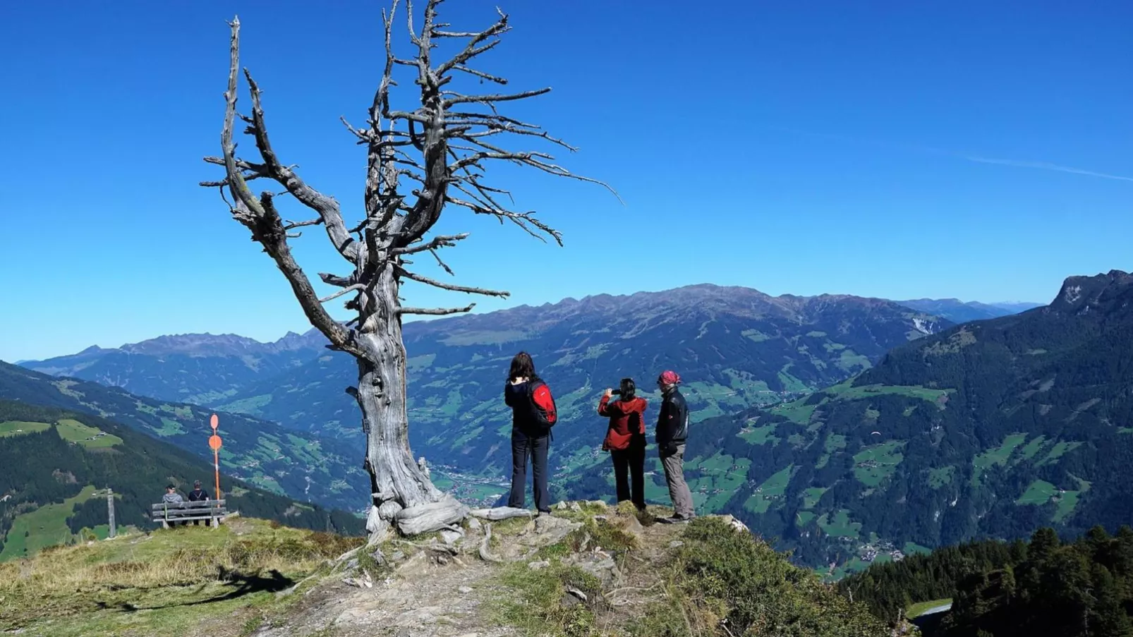 Haus Austria Top 5-Gebieden zomer 20km