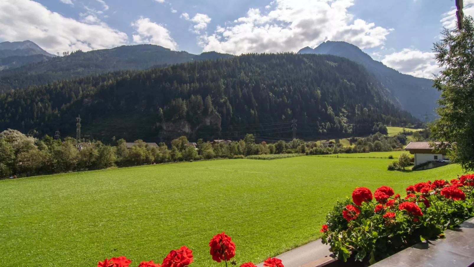 Ferienhaus Oblasser I-Uitzicht zomer