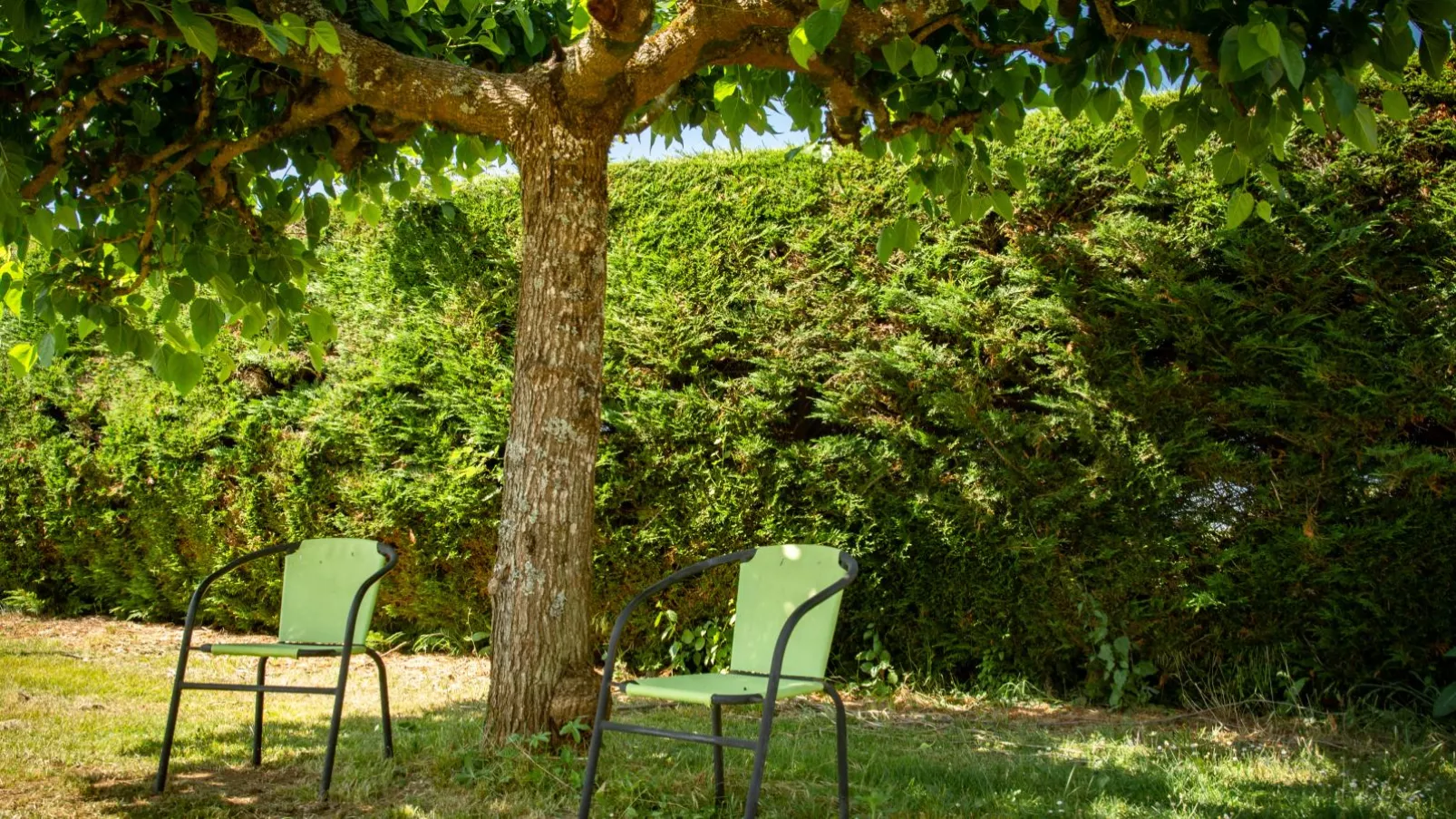 Gite Les Vitarelles-Tuinen zomer