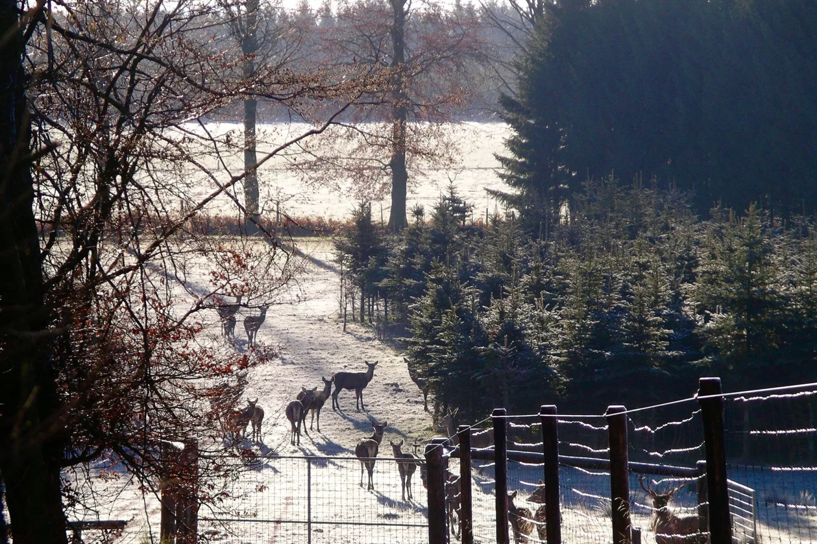 La Hestrale-Tuin winter