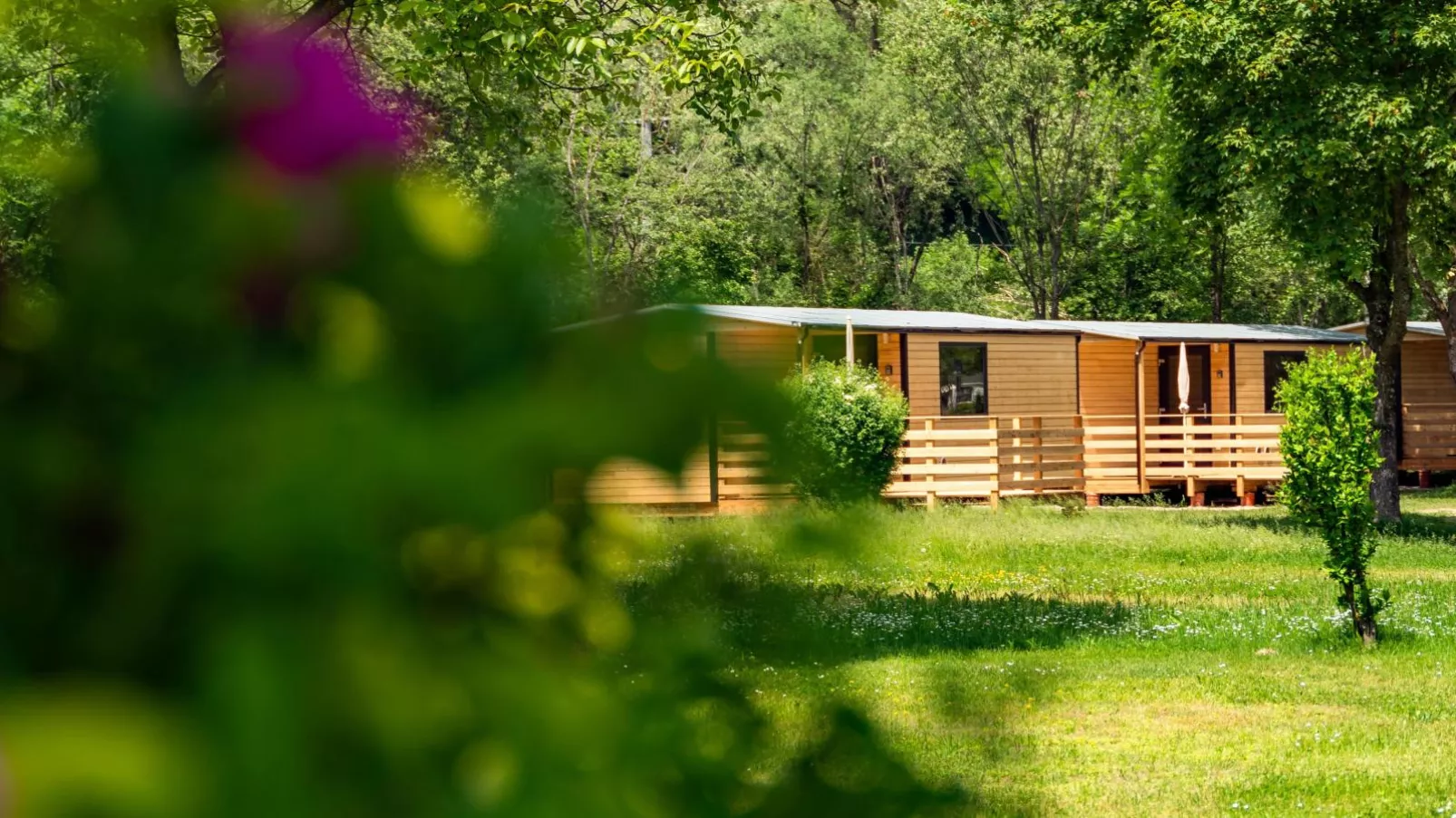 Wood Cube an der Drau-Buitenkant zomer