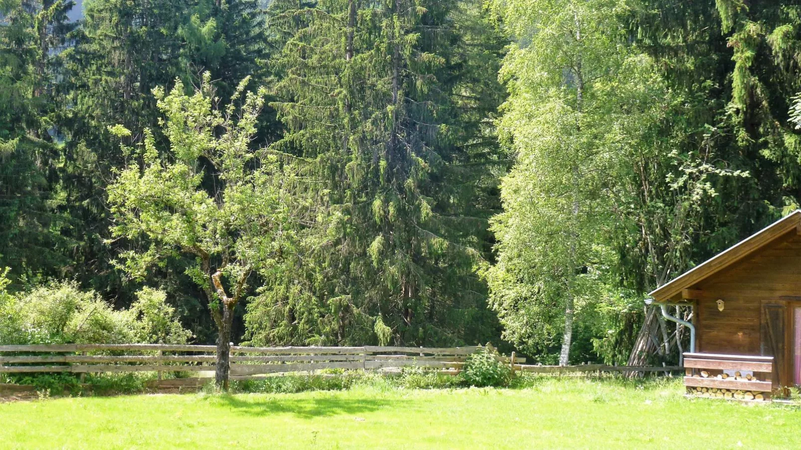 Haus zum Hirschen-Tuinen zomer