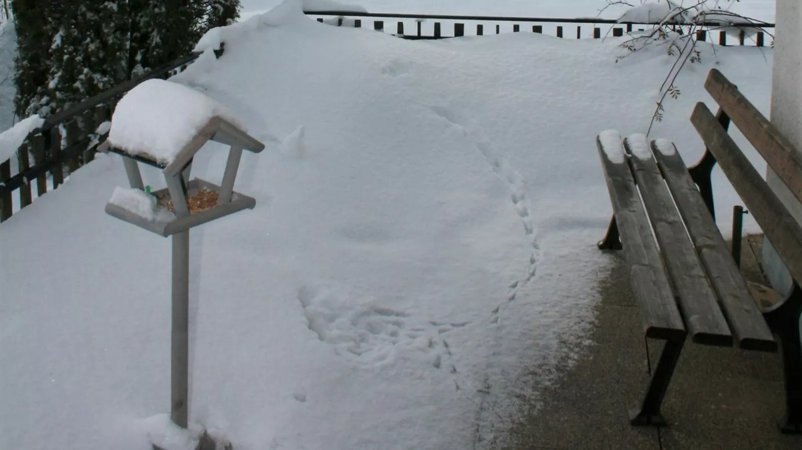 Haus zum Hirschen-Tuin winter