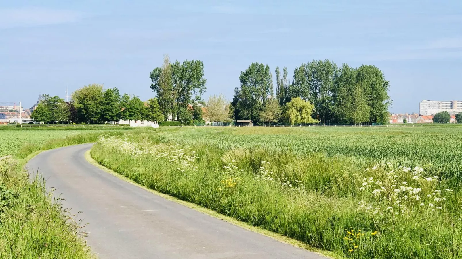 De Lange Dreve-Gebieden zomer 1km