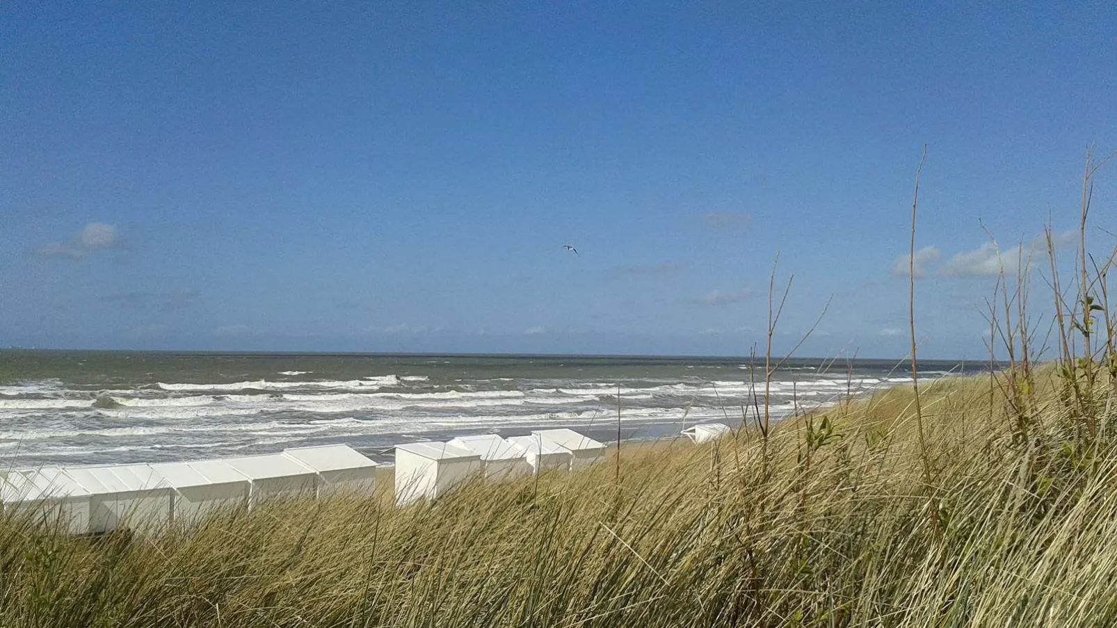 Coq au lit-Gebieden zomer 1km