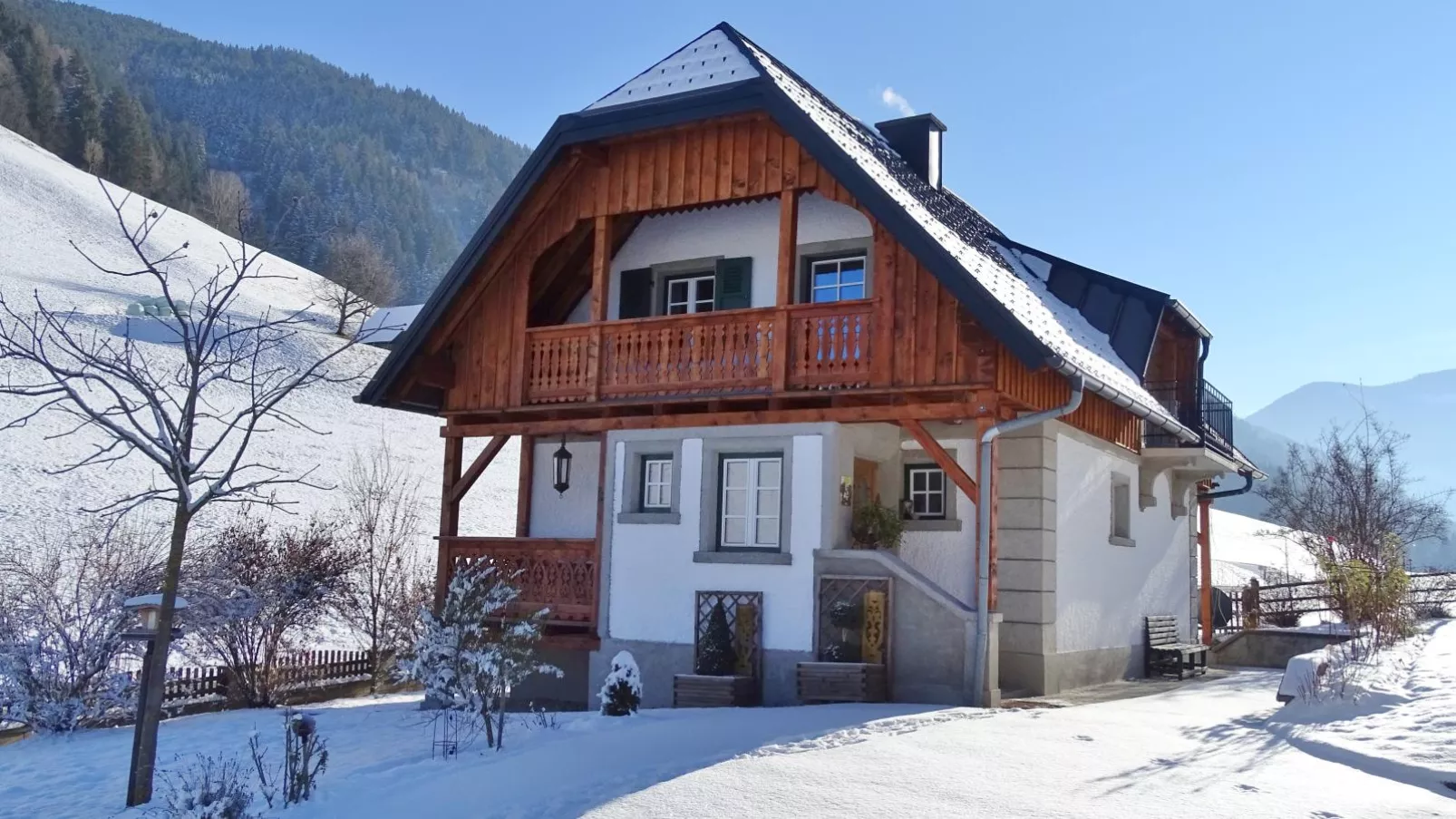 Naturpark Chalet Schladming-Dachstein-Exterieur winter