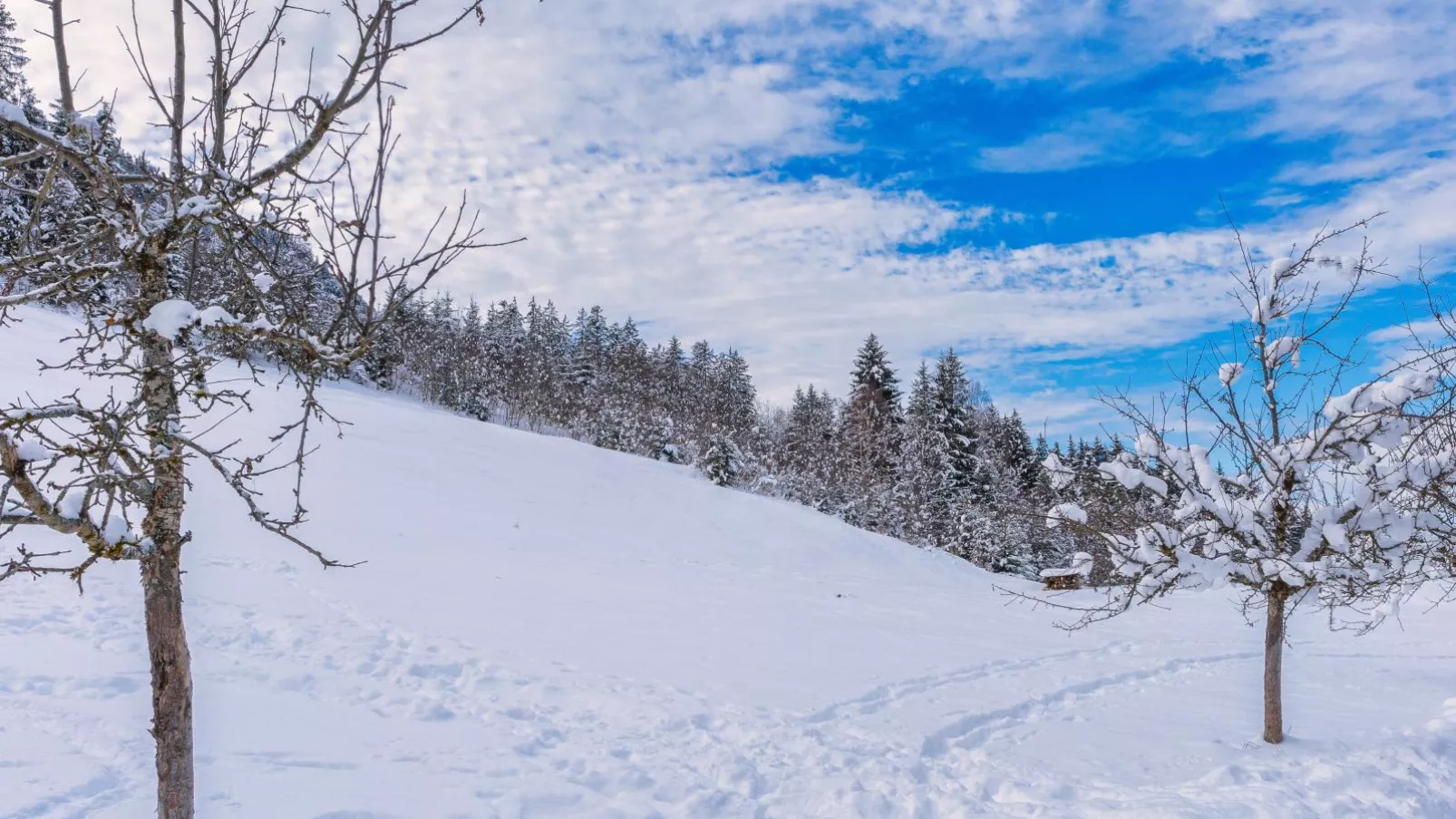 Schergrub-Gebied winter 1km