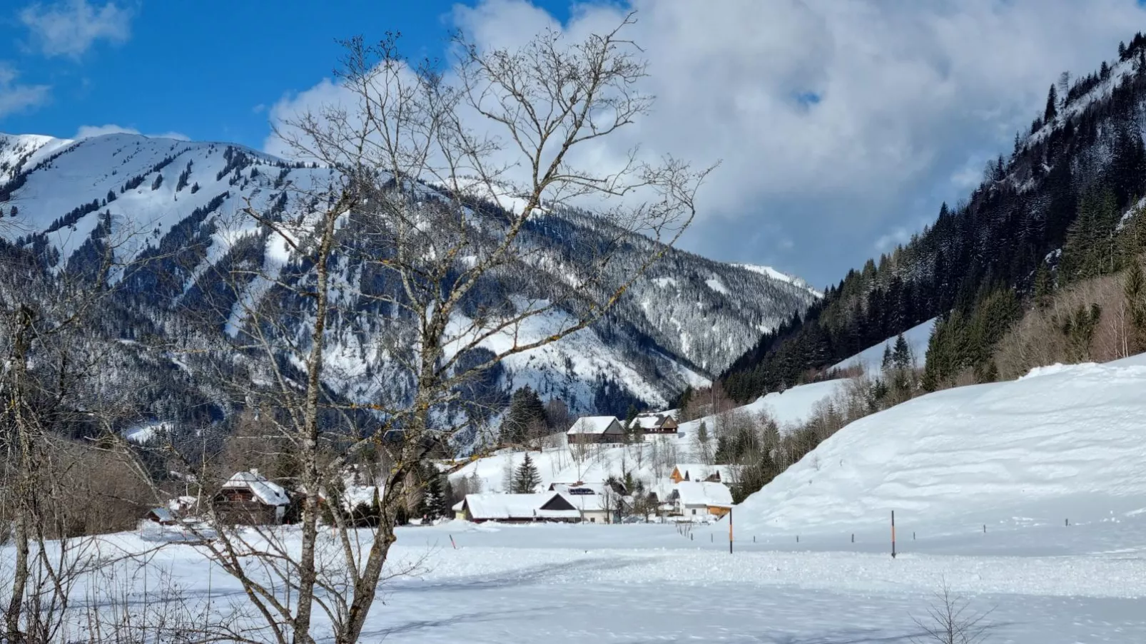 Edelweiss Lodge-Gebied winter 1km