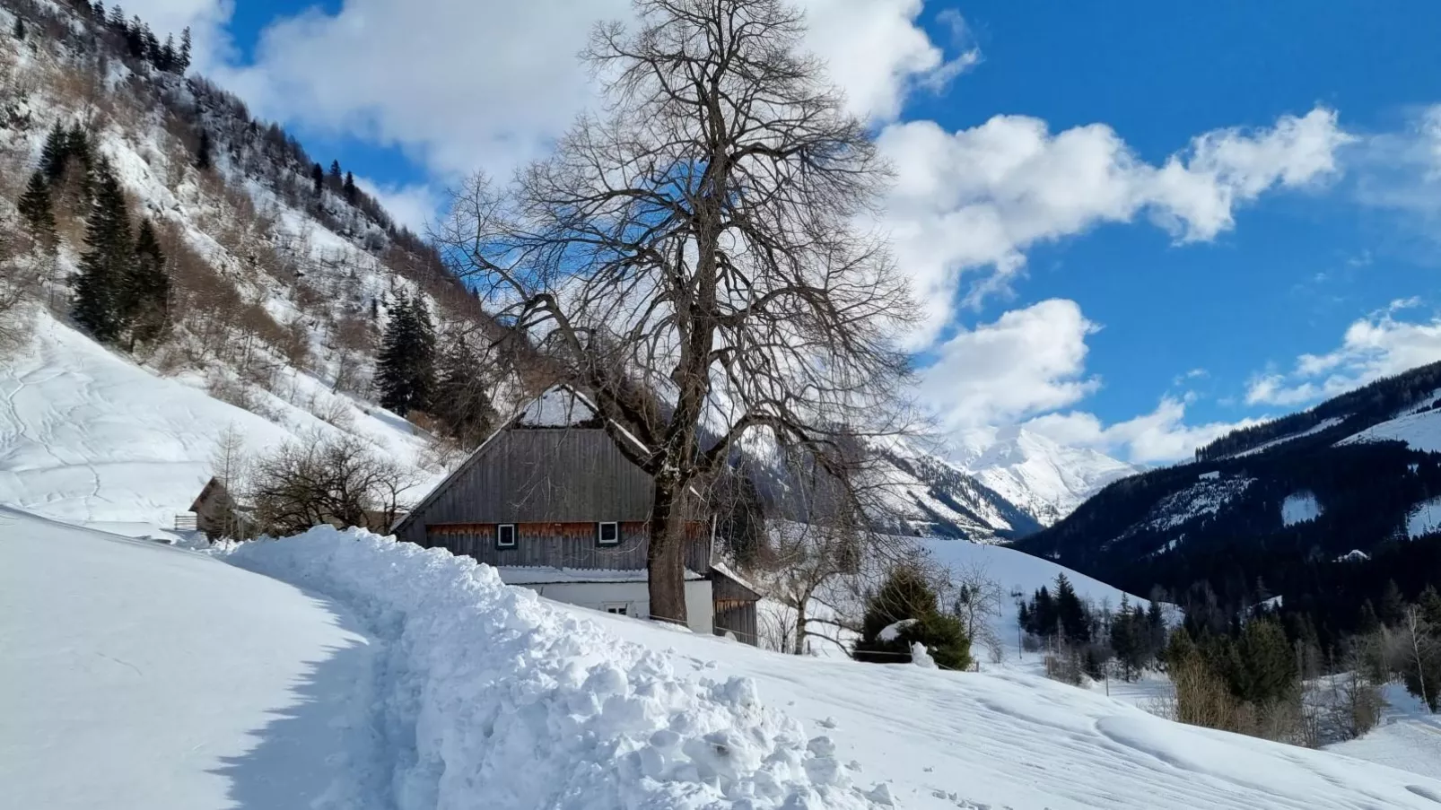 Edelweiss Lodge-Gebied winter 1km