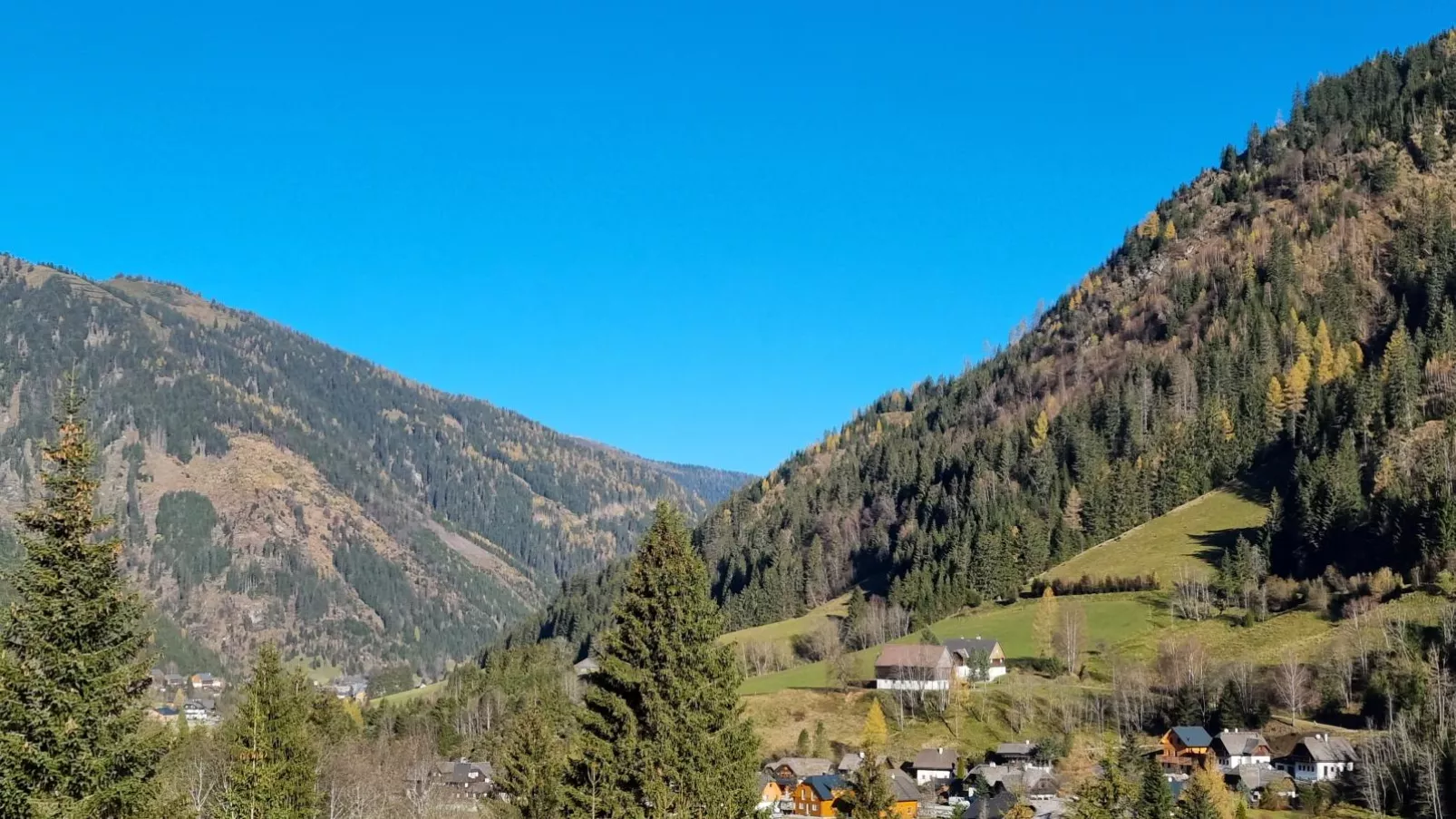 Edelweiss Lodge-Uitzicht zomer