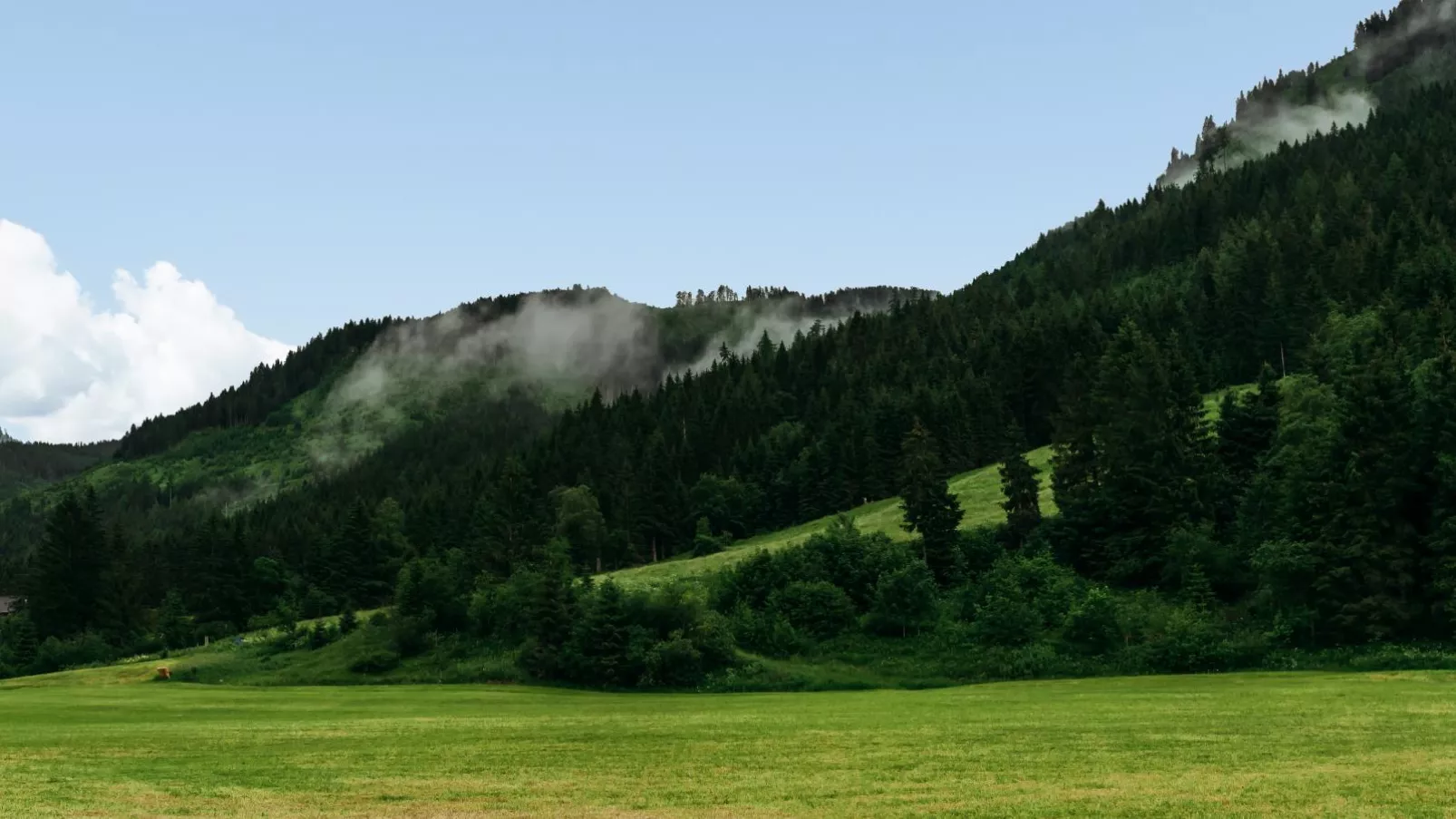 Haus Ganbei 2-Gebieden zomer 5km