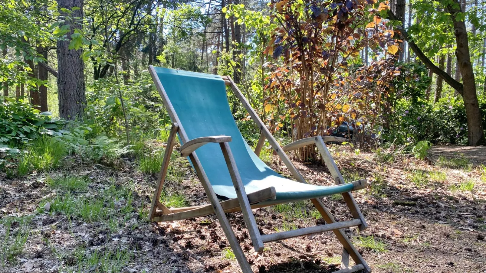 Boshuisje-Tuinen zomer