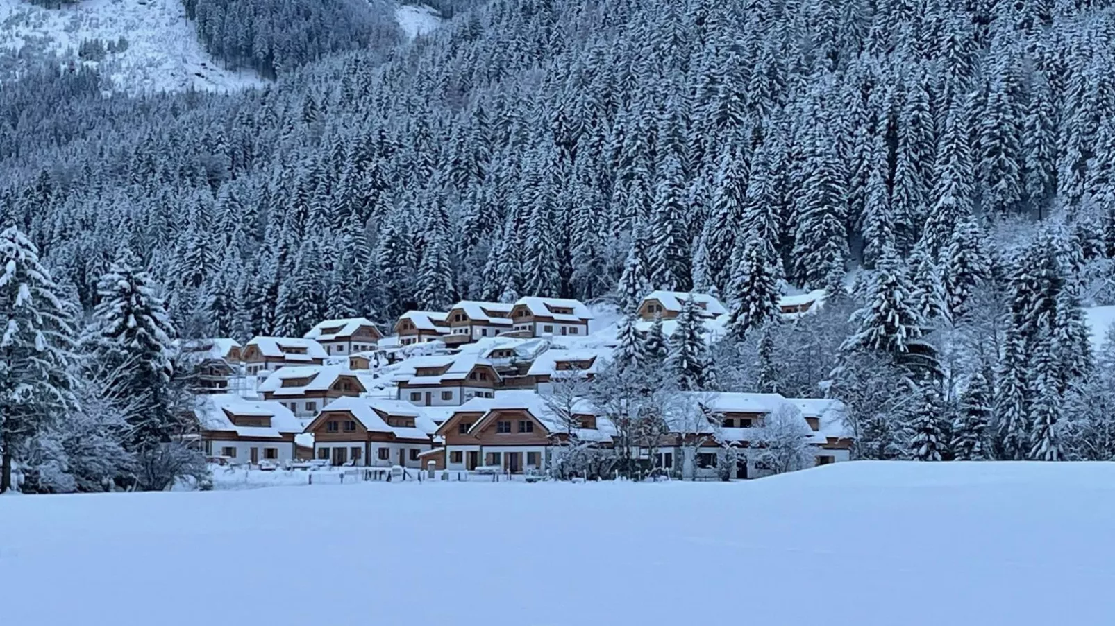 Chalet Hirschblick-Gebied winter 1km