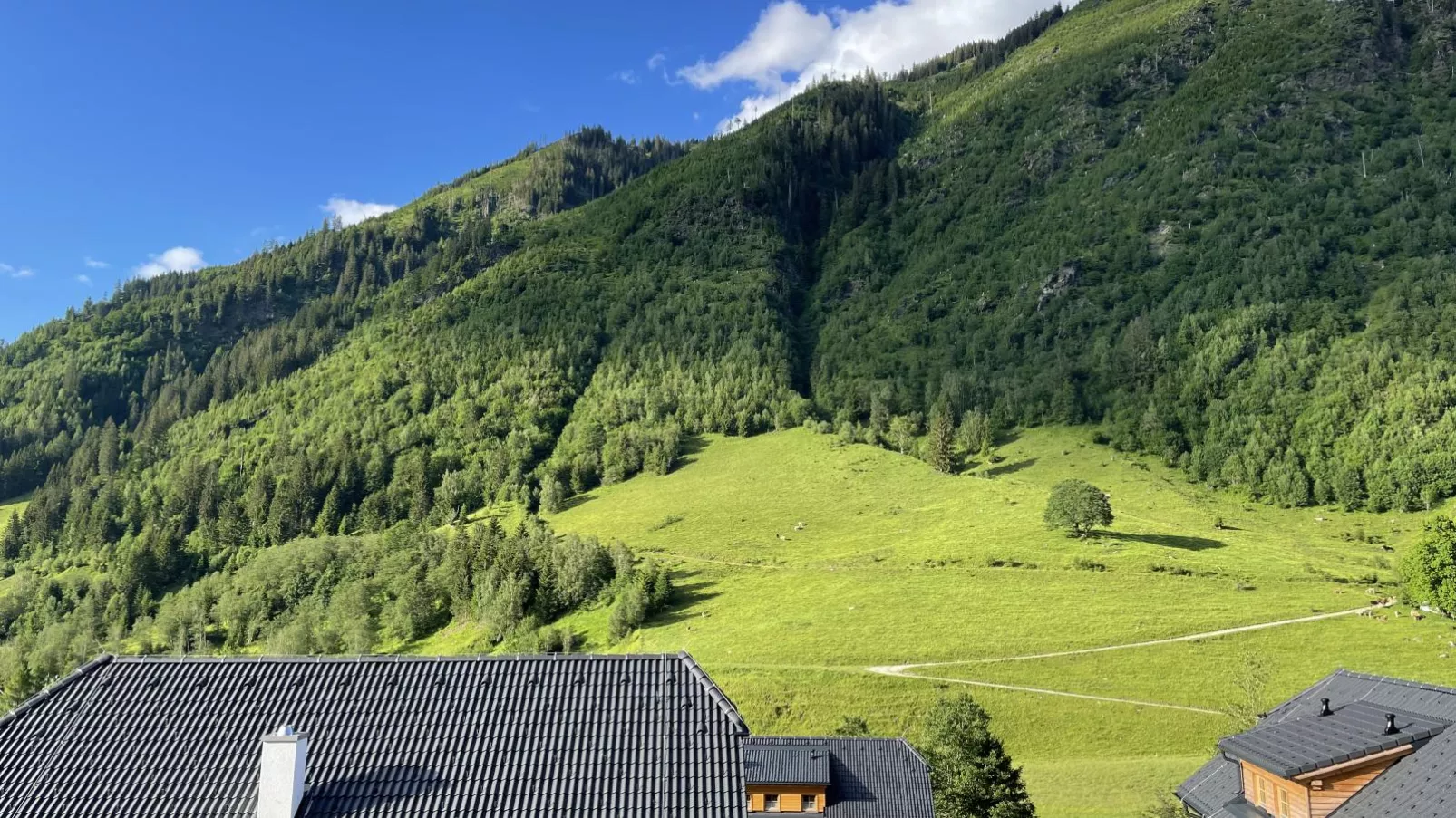 Chalet Hirschblick-Uitzicht zomer