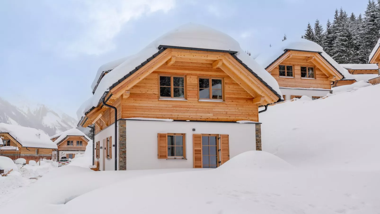 Alpenjoy Lodge-Exterieur winter