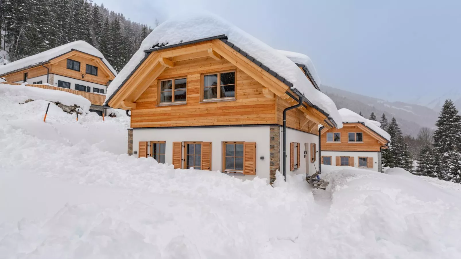 Traumhaus-Exterieur winter